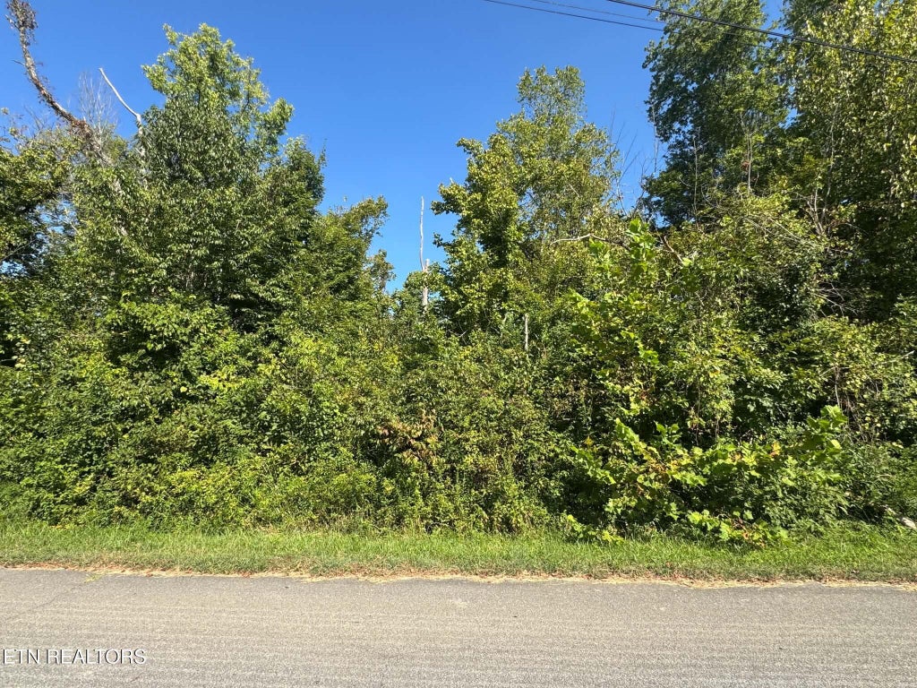 Photo of Balboa Drive, Rockwood, TN 37854 (MLS # 1353872)