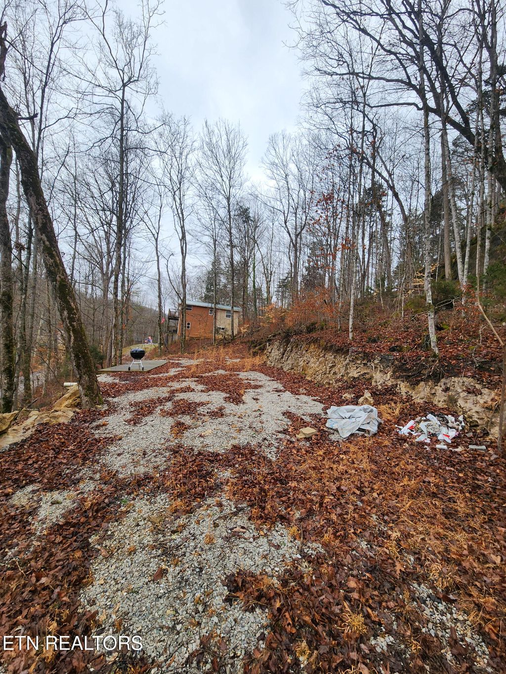 Photo of 309 Marina Lane, LaFollette, TN 37766 (MLS # 1337813)