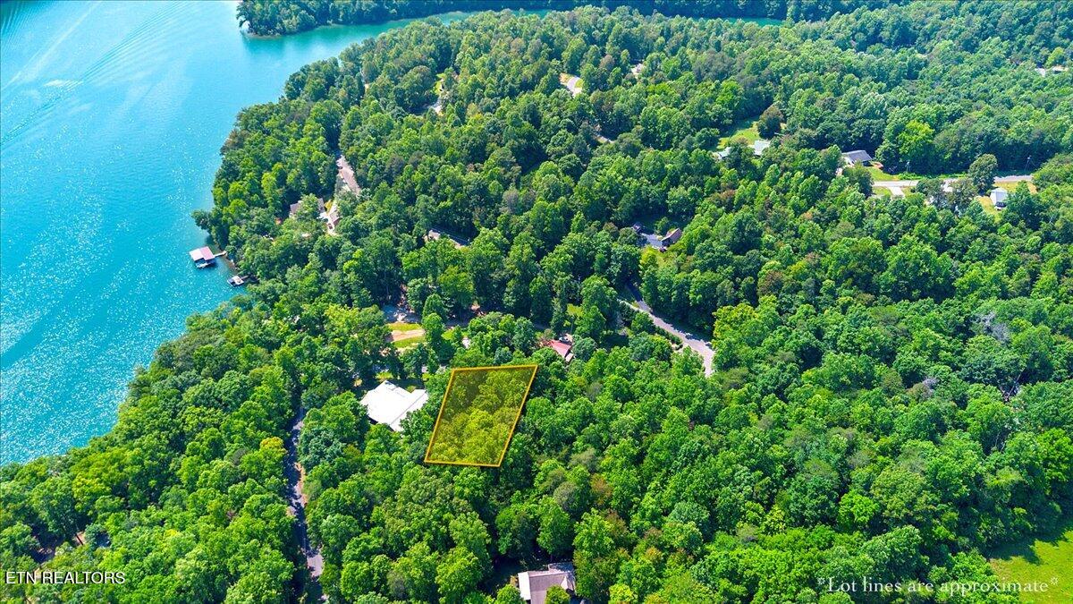 Hiwassee Drive