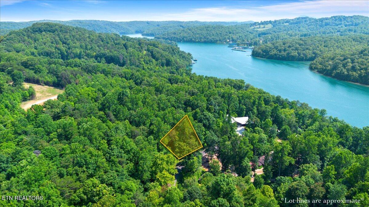 Hiwassee Drive