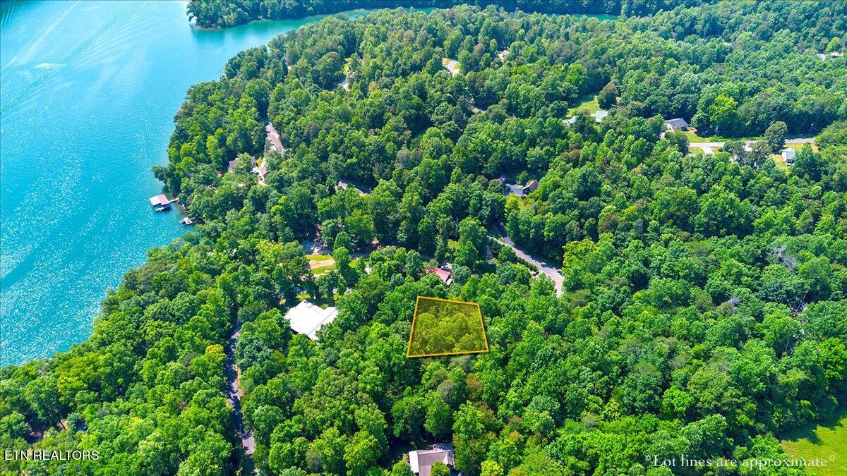 Hiwassee Drive