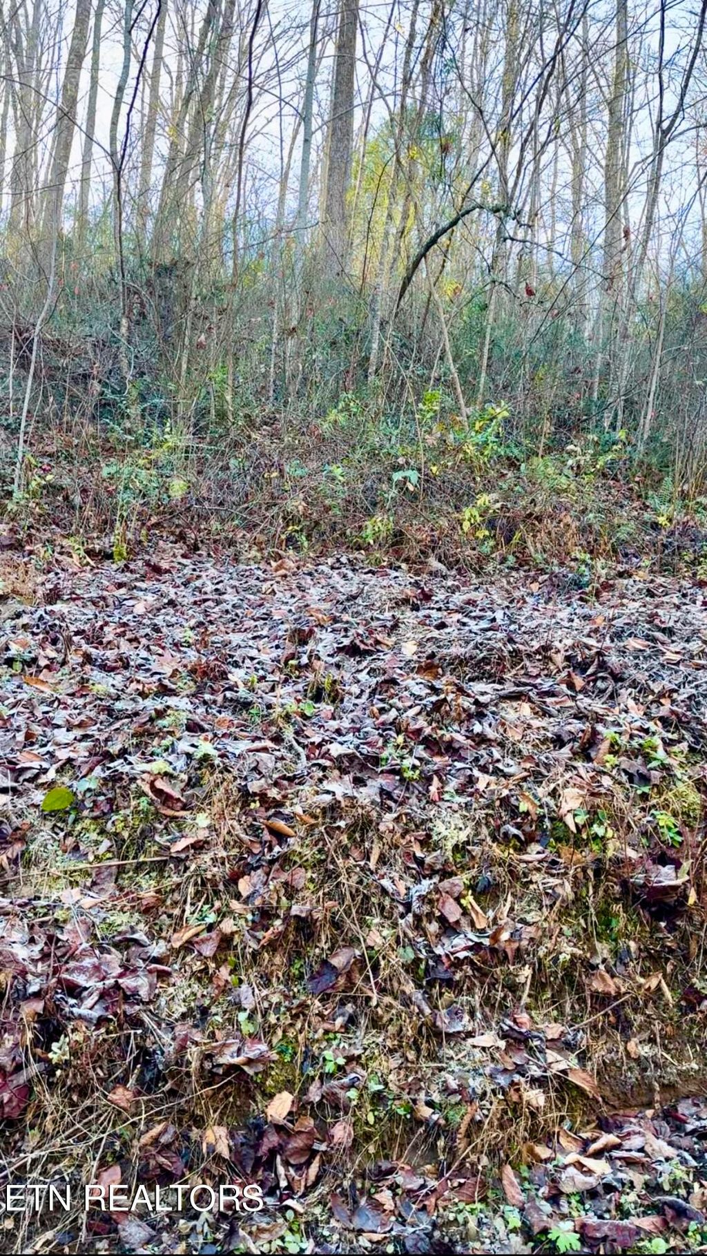 Photo of Manis Hollow Rd, Gatlinburg, TN 37738 (MLS # 1248610)