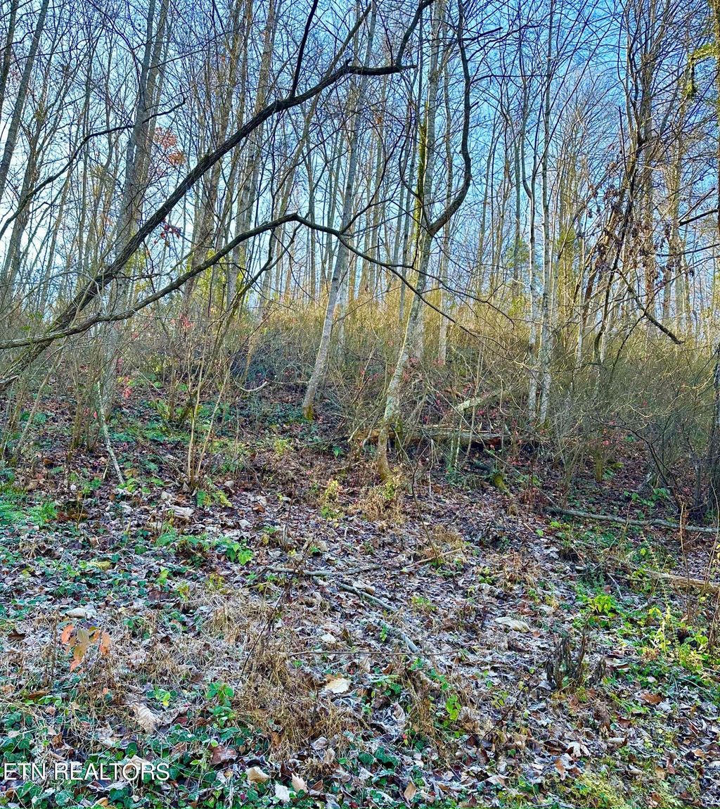 Photo of Manis Hollow Rd, Gatlinburg, TN 37738 (MLS # 1248610)