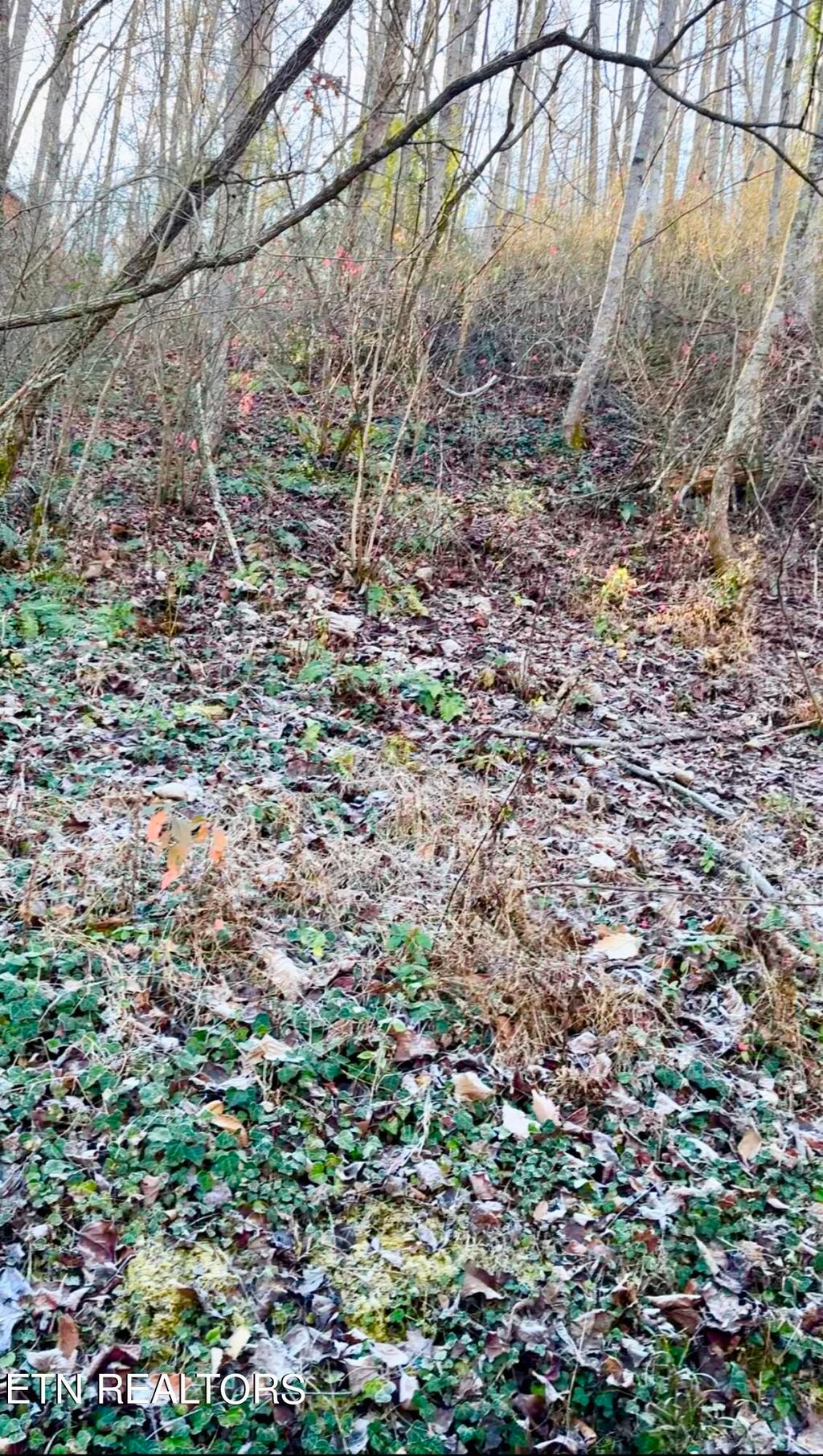 Photo of Manis Hollow Rd, Gatlinburg, TN 37738 (MLS # 1248610)