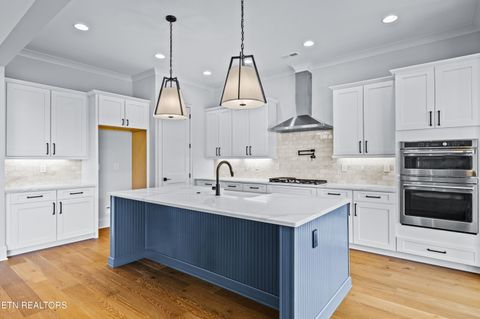 Tiny photo for 4153 Old Club Rd, Loudon, TN 37774 (MLS # 1324721)