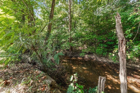 Tiny photo for 7534 Creek Song Court, Knoxville, TN 37920 (MLS # 1355967)