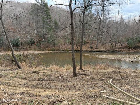 Tiny photo for 7063 HWY 25W, Duff, TN 37729 (MLS # 1329360)