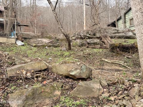 Tiny photo for 7063 HWY 25W, Duff, TN 37729 (MLS # 1329360)