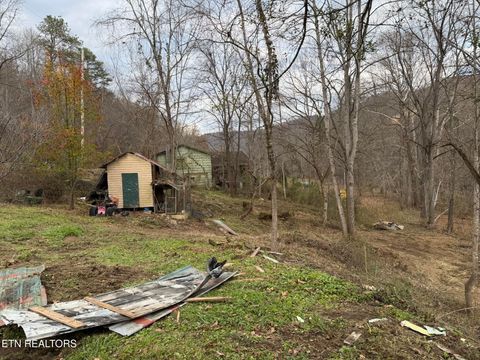 Tiny photo for 7063 HWY 25W, Duff, TN 37729 (MLS # 1329360)