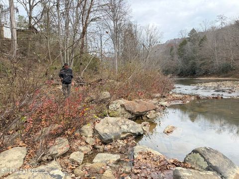 Tiny photo for 7063 HWY 25W, Duff, TN 37729 (MLS # 1329360)