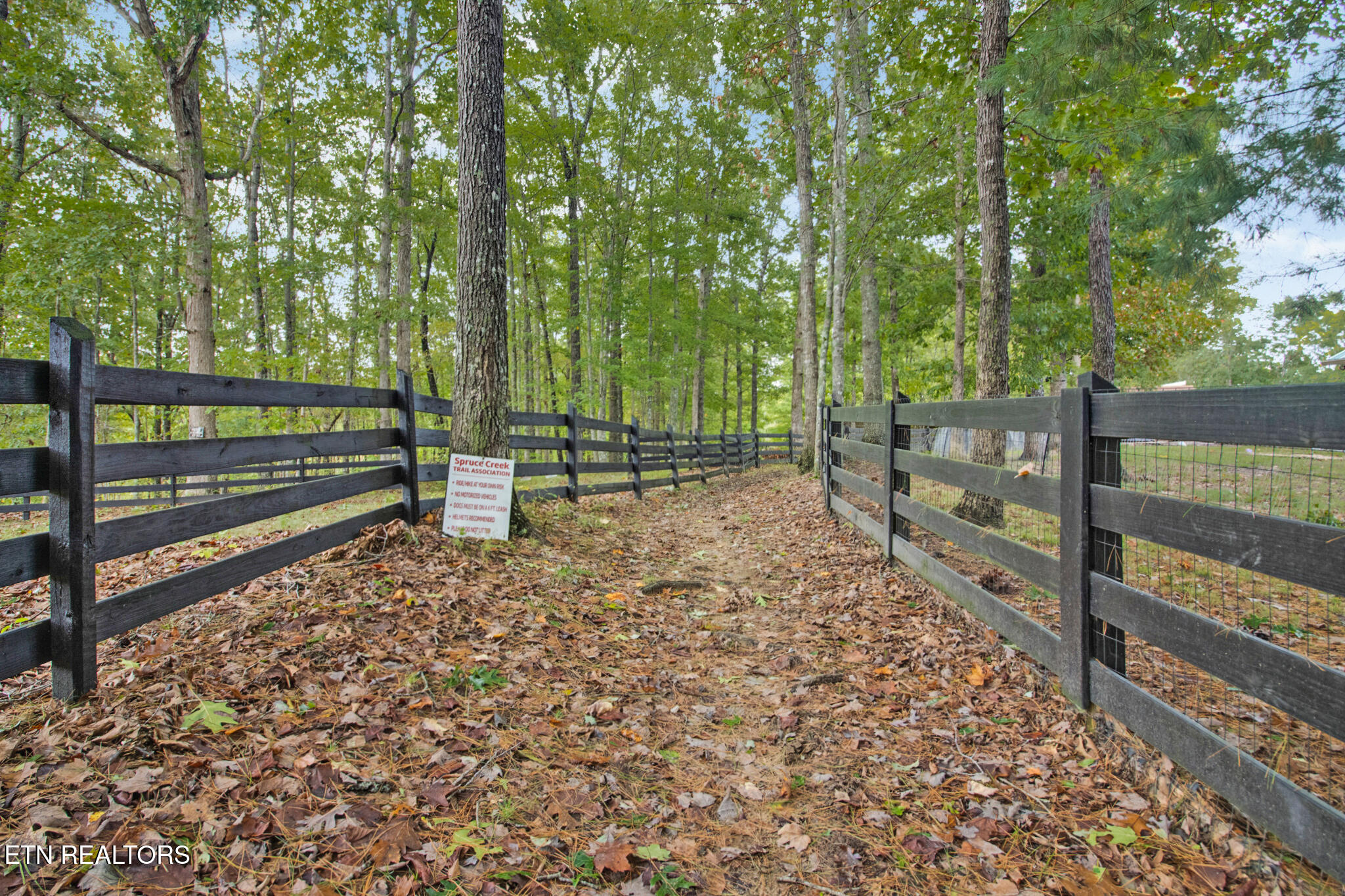 538 Spruce Creek Drive