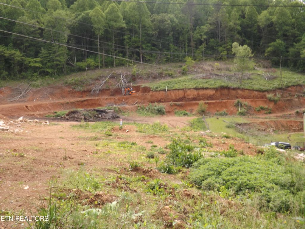 Photo of 114 GARLAND HOLLOW Lane, Tazewell, TN 37879 (MLS # 1287128)