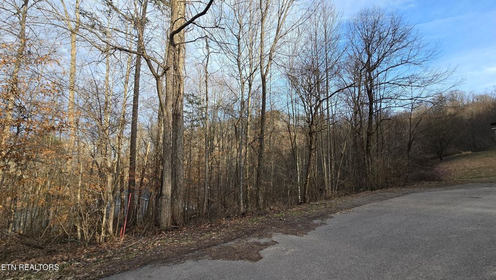 Photo of 0 Lick Skillet Rd, Maynardville, TN 37807 (MLS # 1319967)