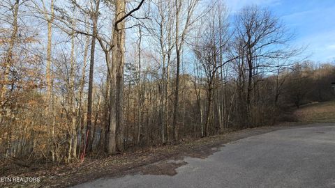 Photo of 0 Lick Skillet Rd, Maynardville, TN 37807 (MLS # 1319967)