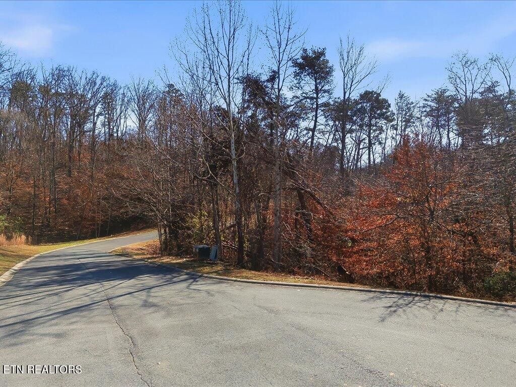 Photo of 18 Cove Springs Drive, Dandridge, TN 37725 (MLS # 1323296)