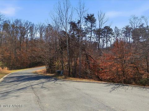 Tiny photo for 18 Cove Springs Drive, Dandridge, TN 37725 (MLS # 1323296)