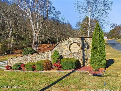 Tiny photo for 18 Cove Springs Drive, Dandridge, TN 37725 (MLS # 1323296)