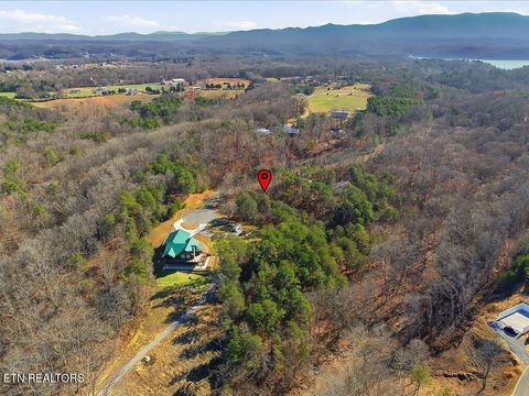 Tiny photo for 18 Cove Springs Drive, Dandridge, TN 37725 (MLS # 1323296)