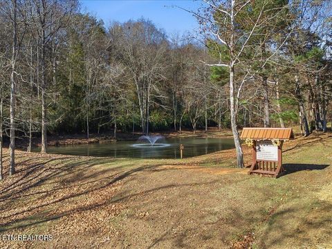 Tiny photo for 18 Cove Springs Drive, Dandridge, TN 37725 (MLS # 1323296)