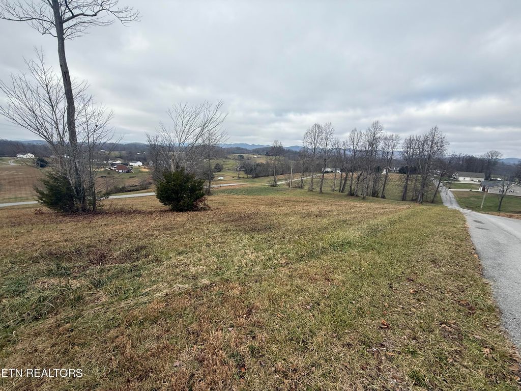 Photo of 22 Oak Point Drive, Jonesville, VA 24263 (MLS # 1323497)