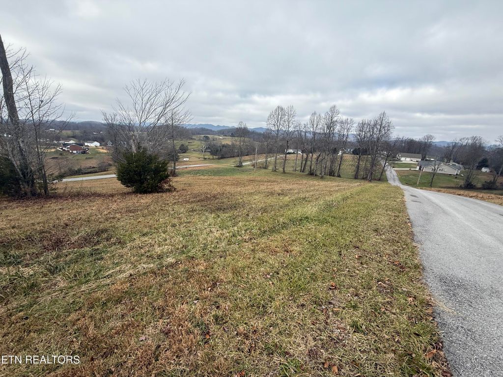 Photo of 22 Oak Point Drive, Jonesville, VA 24263 (MLS # 1323497)
