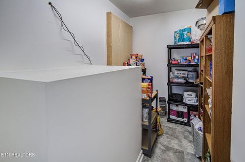 Tiny photo for 2117 Smith School Rd, Strawberry Plains, TN 37871 (MLS # 1329159)