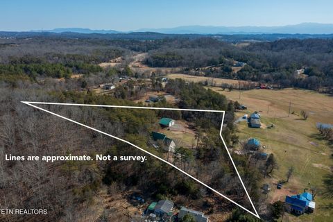 Tiny photo for 2117 Smith School Rd, Strawberry Plains, TN 37871 (MLS # 1329159)