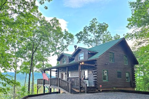 817 Christy Lane Townsend TN 37882