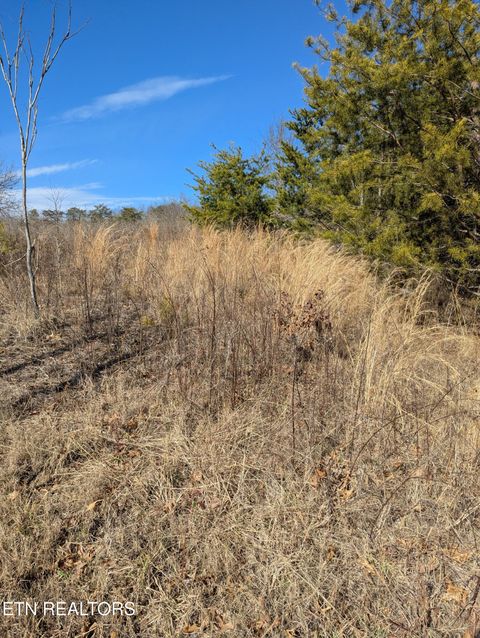 Tiny photo for Whispering Court, Bean Station, TN 37708 (MLS # 1327197)