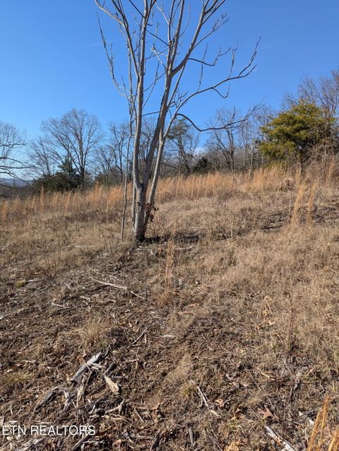 Tiny photo for Whispering Court, Bean Station, TN 37708 (MLS # 1327197)