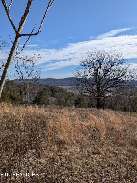 Tiny photo for Whispering Court, Bean Station, TN 37708 (MLS # 1327197)