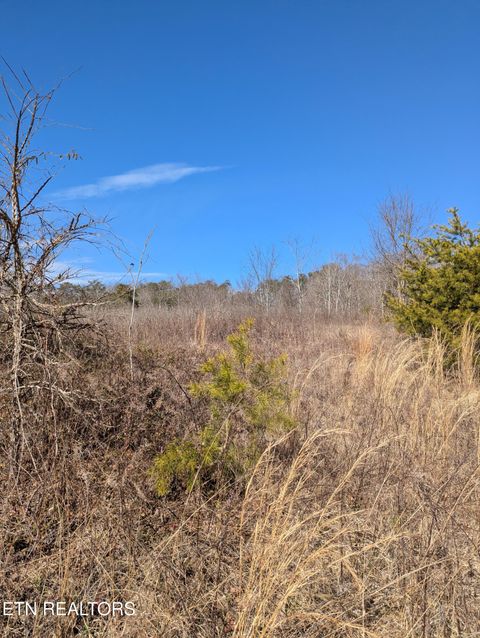 Tiny photo for Whispering Court, Bean Station, TN 37708 (MLS # 1327197)