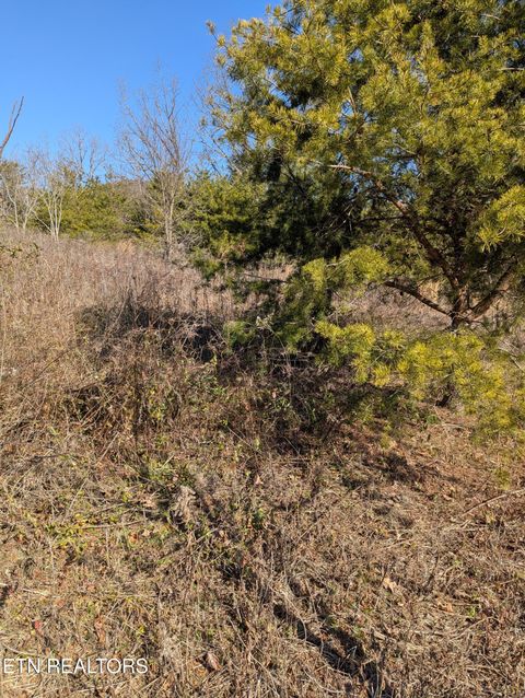 Tiny photo for Whispering Court, Bean Station, TN 37708 (MLS # 1327197)