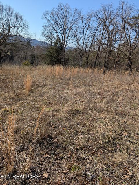 Tiny photo for Whispering Court, Bean Station, TN 37708 (MLS # 1327197)