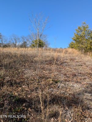 ADDRESS PRIVATE, BEAN STATION, TN 37708 - Image 64b8d85a0fda1932403fed408b997b2e/3130422611