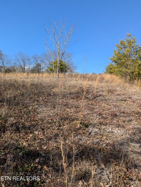 Photo of Whispering Court, Bean Station, TN 37708 (MLS # 1327197)