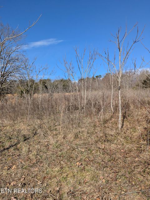 Tiny photo for Whispering Court, Bean Station, TN 37708 (MLS # 1327197)