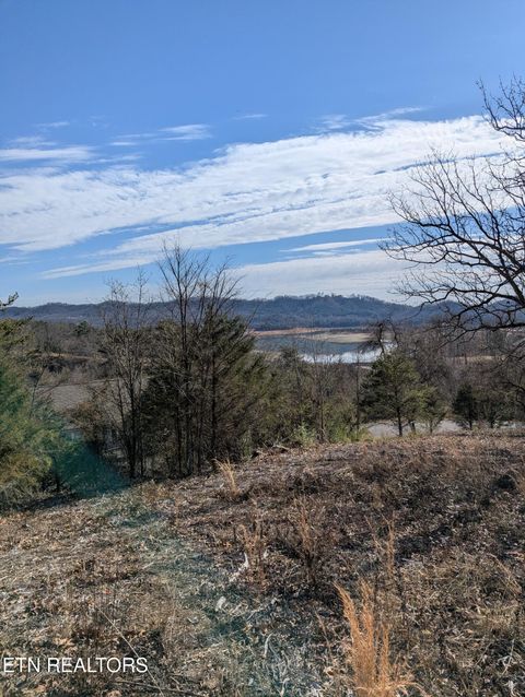 Tiny photo for Whispering Court, Bean Station, TN 37708 (MLS # 1327197)