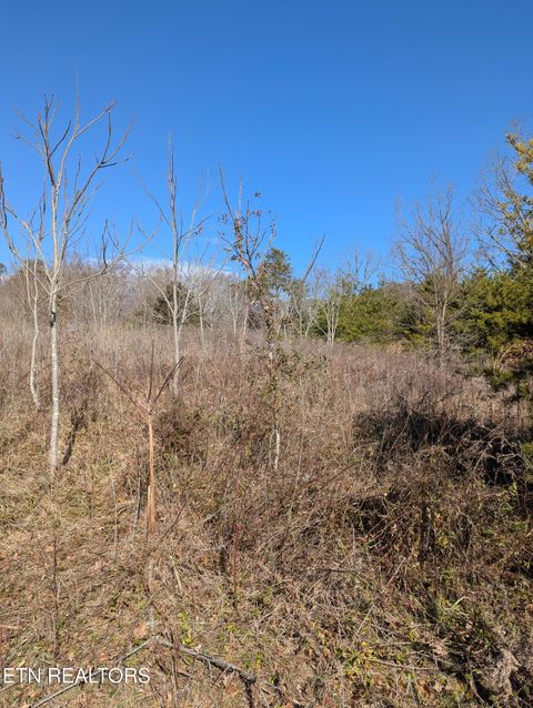 Tiny photo for Whispering Court, Bean Station, TN 37708 (MLS # 1327197)