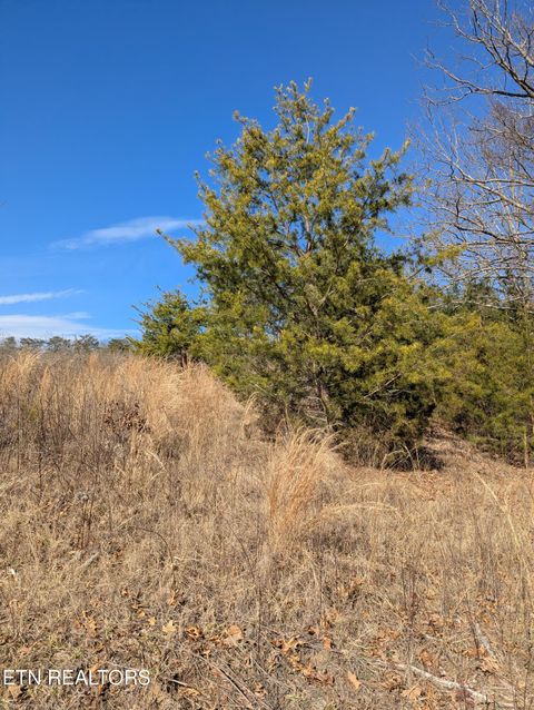 Tiny photo for Whispering Court, Bean Station, TN 37708 (MLS # 1327197)