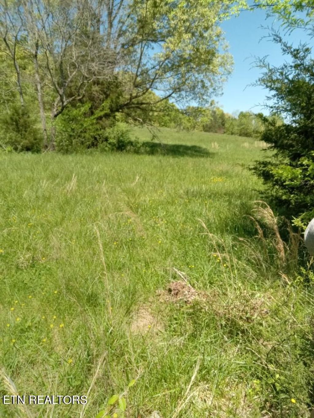 Photo of 12 Ogle Drive, Sweetwater, TN 37874 (MLS # 1279182)