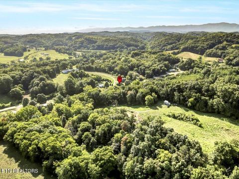 Tiny photo for 919 Highway 340, Parrottsville, TN 37843 (MLS # 1319978)