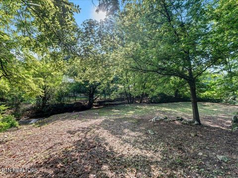 Tiny photo for 919 Highway 340, Parrottsville, TN 37843 (MLS # 1319978)