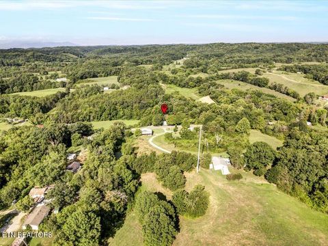 Tiny photo for 919 Highway 340, Parrottsville, TN 37843 (MLS # 1319978)