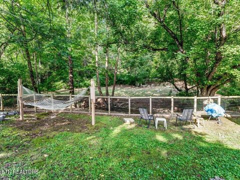 Tiny photo for 919 Highway 340, Parrottsville, TN 37843 (MLS # 1319978)