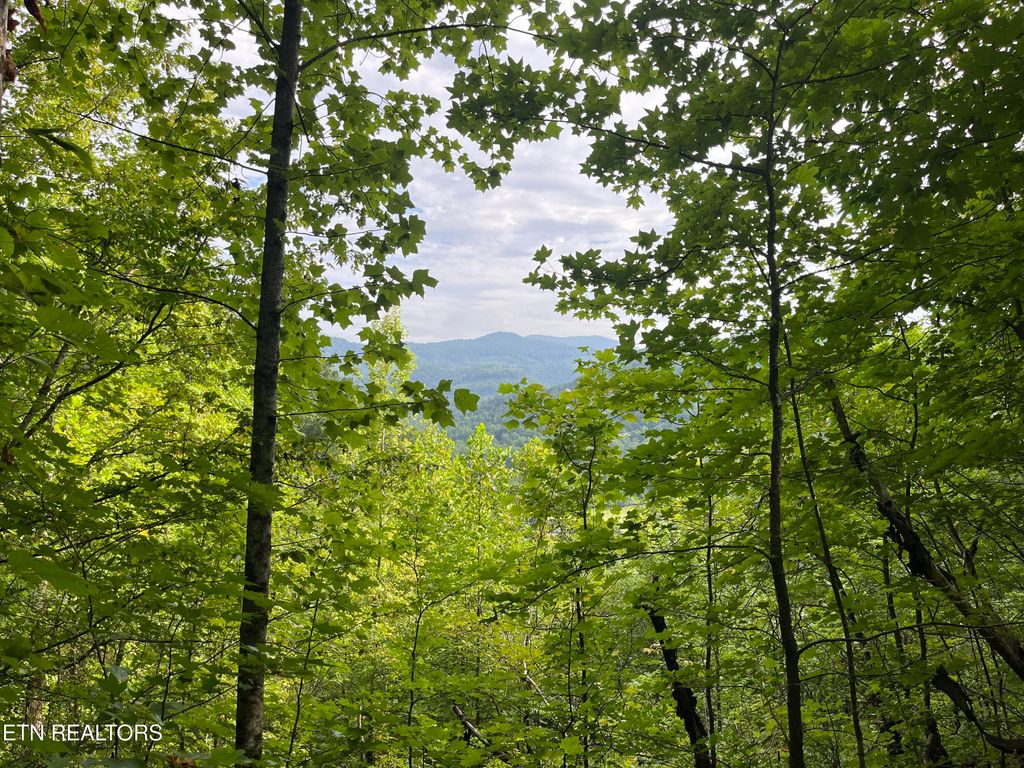 Photo of Frost Bottom Rd, Oliver Springs, TN 37840 (MLS # 1310532)