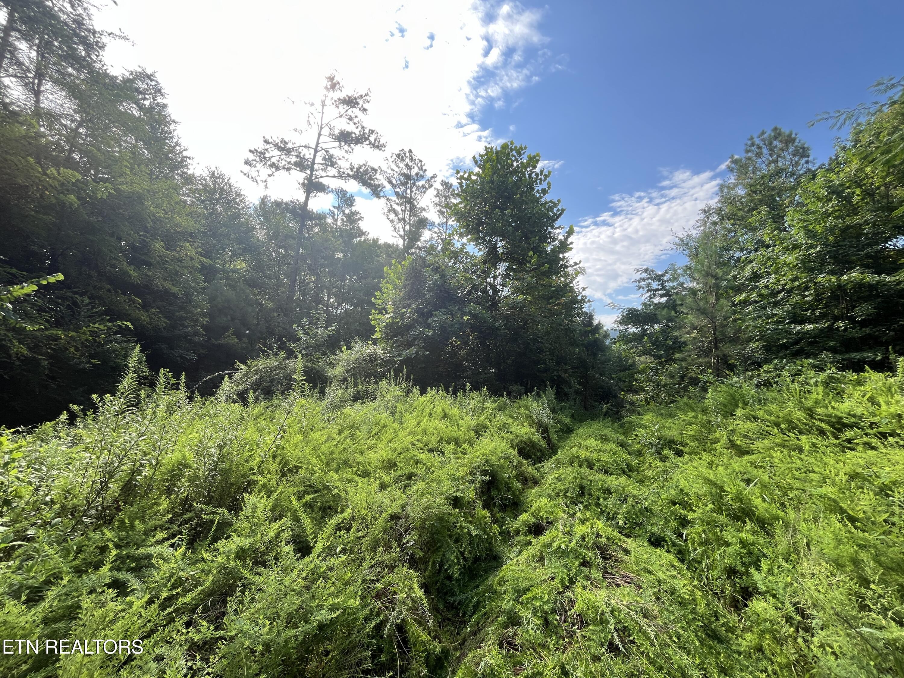 Frost Bottom Rd