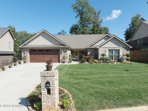 Photo of 206 Conner Lane, Lenoir City, TN 37772 (MLS # 1318148)