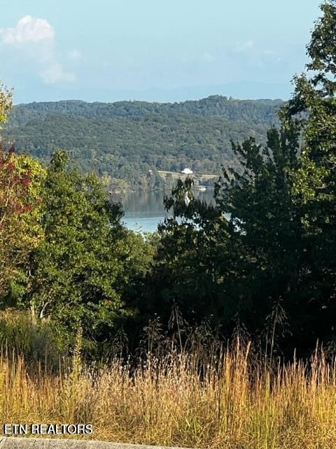 Tiny photo for 158 Highland Reserve Way, Kingston, TN 37763 (MLS # 1324369)