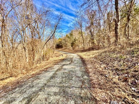 Tiny photo for TBD Rufus Coffey Lane, Thorn Hill, TN 37881 (MLS # 1338833)